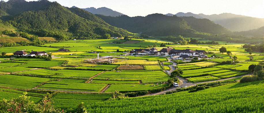 旭ファームの全景