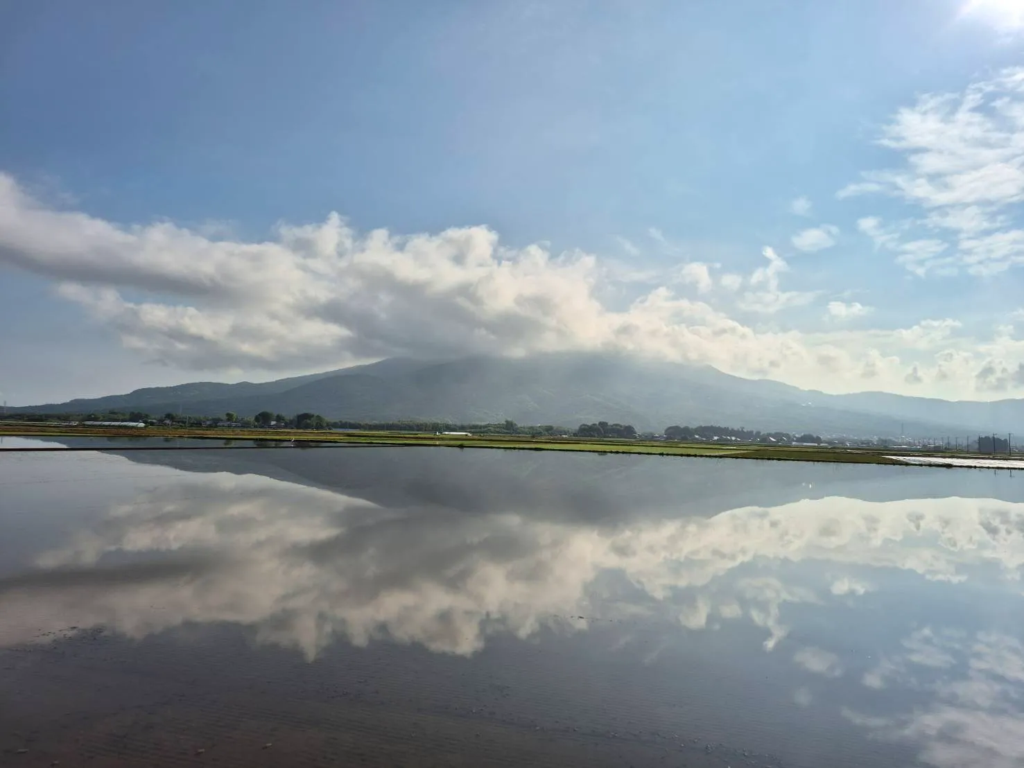 田んぼの風景
