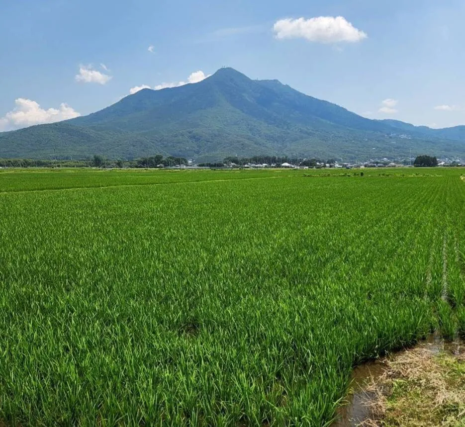 農作業風景